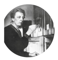 BirgitKofler.png  